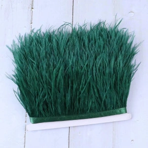 Banda pene strut, Verde Imperial