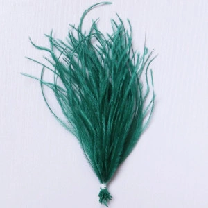Ciucuri din Pene Strut, 10-15 cm - Img 4