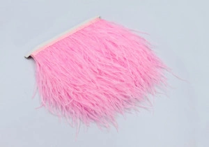 Banda Pene Strut, Baby Pink