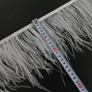 Banda Pene Strut, Ivory