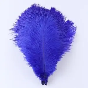 Decorative Strut Feathers, 20-35 cm - Img 2