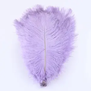 Decorative Strut Feathers, 20-35 cm - Img 3