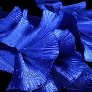 Pleated Lace, Flounce, Imperial Blue, 15 cm