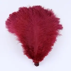 Decorative Strut Feathers, 20-35 cm - Img 4