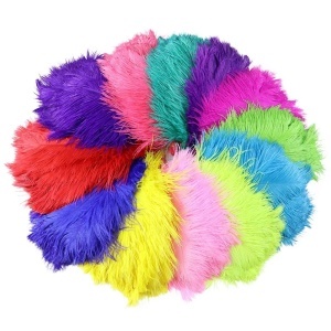 Decorative Strut Feathers, 20-35 cm