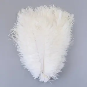 Decorative Strut Feathers, 20-35 cm - Img 5