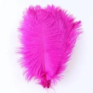 Decorative Strut Feathers, 20-35 cm - Img 6