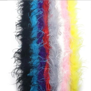 Sal din Pene, Fulgi Strut 2m