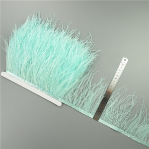 Ostrich Feathers Tape, Mint Green