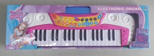 Orga electronica