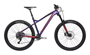 Biciclete de munte