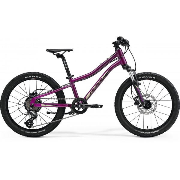 Bicicleta de copii Merida Matts J.20 Purple