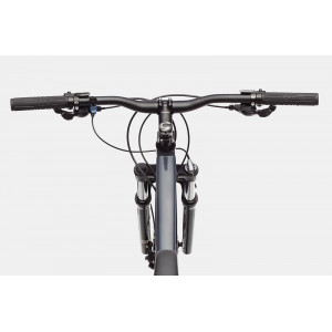 Bicicleta Cannondale Trail 6 29 Slate Gray
