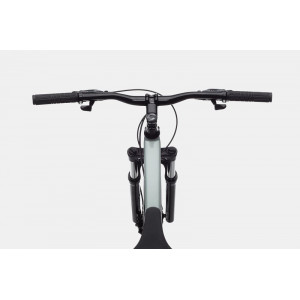 Bicicleta de dama Cannondale Trail 8 29 Grey
