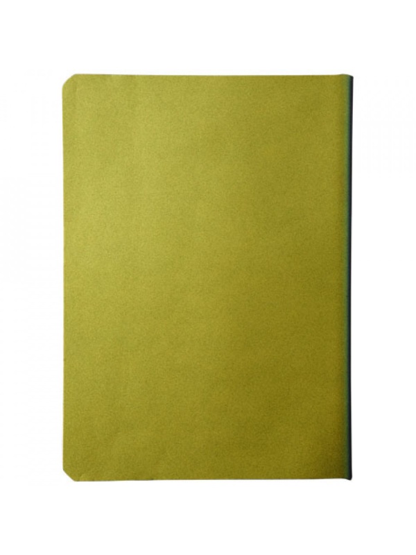 Notebook Softcover, liniat dictando, B6, 174x124mm, 80 file, Cameleon, Verde