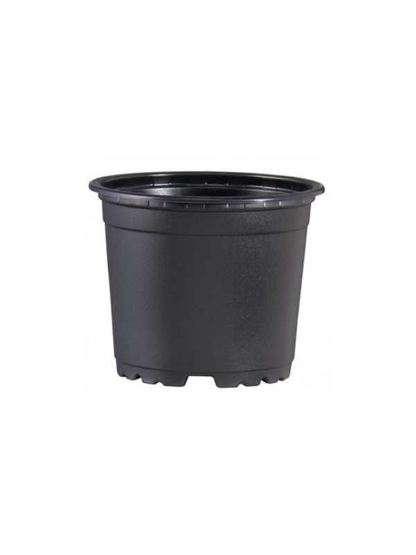 Set 25 bucati, ghivece pentru rasaduri, rotunde, diametru 9 cm, VCG, negru