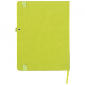 Agenda RiviLarge Notebook 254x193mm, B5, 128 file liniata dictando, Verde