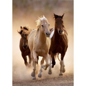 Puzzle Clementoni, 1000 piese, 50x69 cm, HQ colection, model Cai Alergand