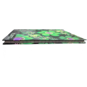 Organizati-va gandurile cu acest block notes liniat Dictando W cu model floral verde, esential pentru productivitate.