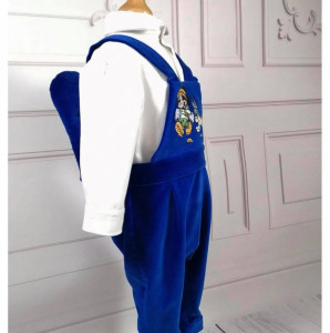 costum botez mickey si prietenii