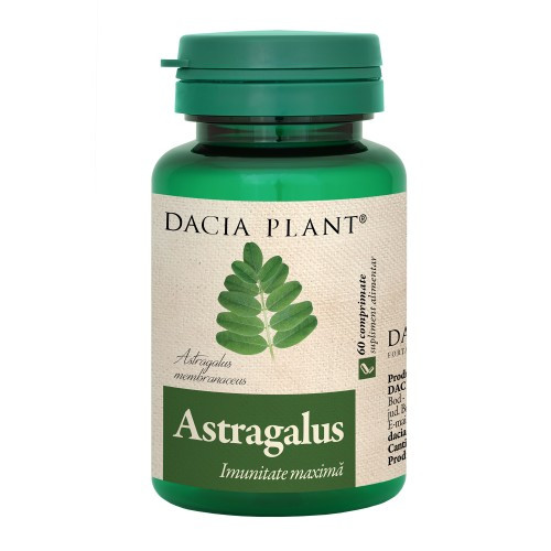Astragalus, Dacia Plant