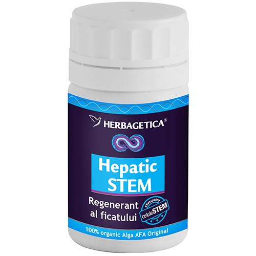 Hepatic stem
