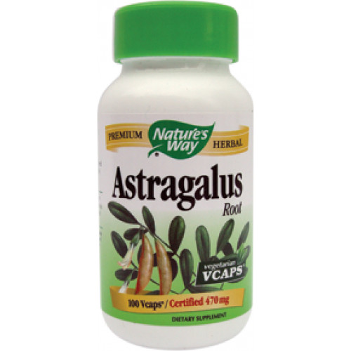Astragalus capsule, Solaray