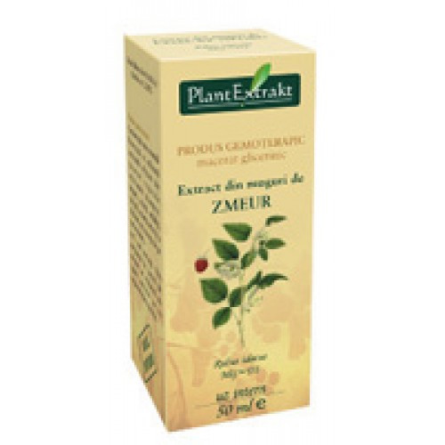 Extract din mladite de zmeur