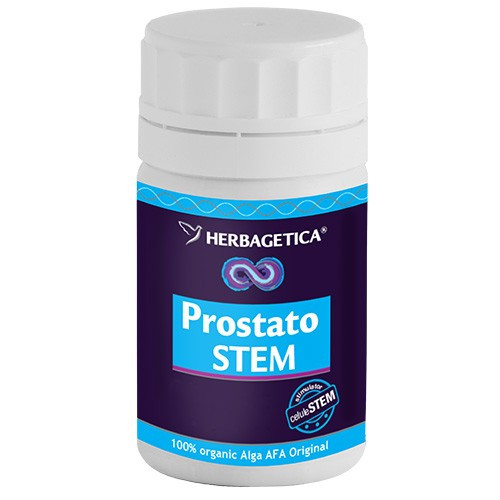 Prostato Stem