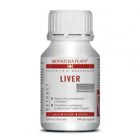 Liver
