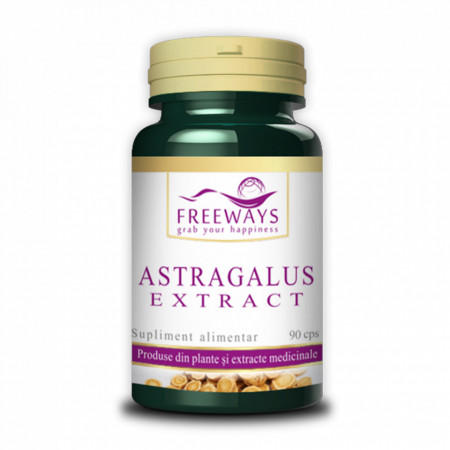 Astragalus Extract- 90 cps