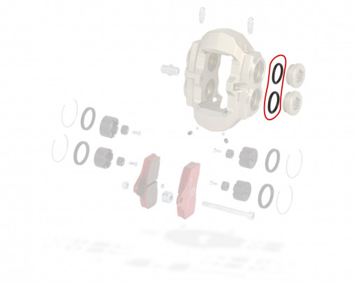 Front caliper plug KZ BSS o-ring