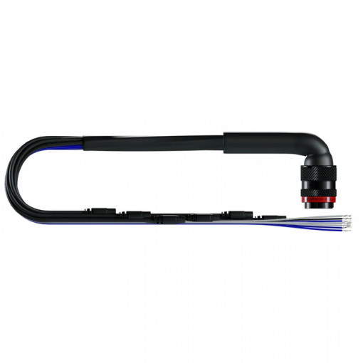 AiM EVO5 22 Pin Deutsch Harness