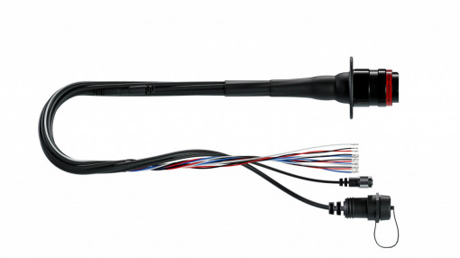 Formula Steering Wheel 4 Car side Harness