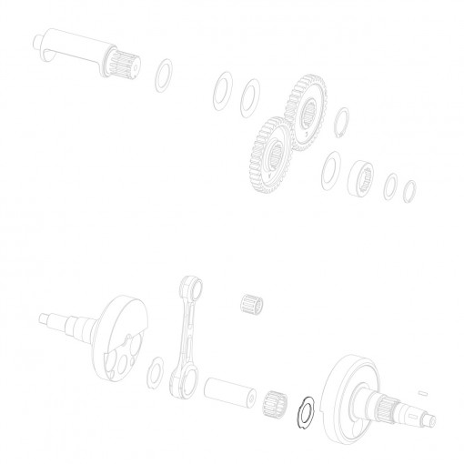 Ralla argentata d.20,1 a stella
