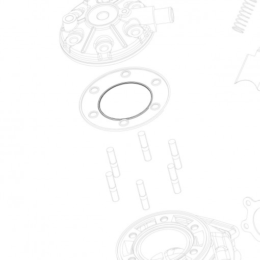 O-ring testa 2237 NBR