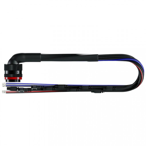 AiM 37 Pin Deutsch Harness MXS, MXP, MXG, MXL2, MXM