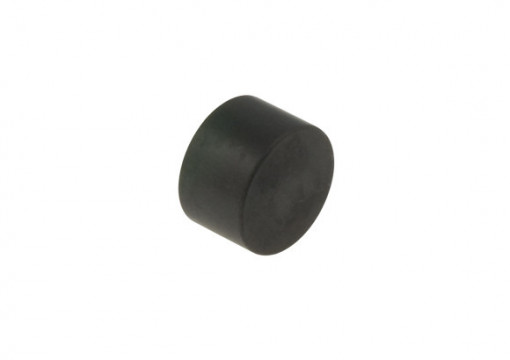 BSM rear brake caliper's piston