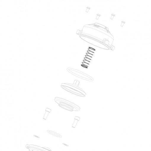 Exhaust valve compression spring GP