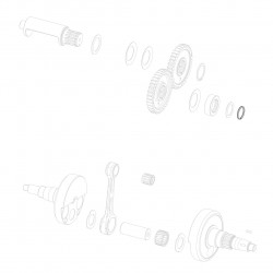Anello elastico WR 20