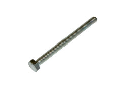 TE screw 10x130mm