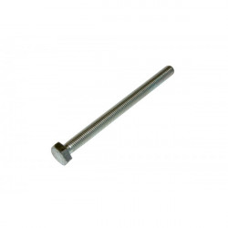 TE screw 10x120 mm