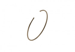 Clip pinza freno posteriore SA2