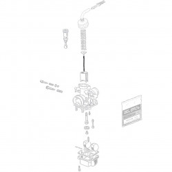 Spillo conico w23x08