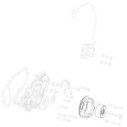 Accensione nuda GP-Rok Jr