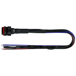 AiM 37 Pin Deutsch Harness MXS, MXP, MXG, MXL2, MXM