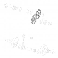 Ingranaggio contralbero GP-Rok Jr