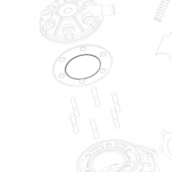 O-ring testa 2237 NBR