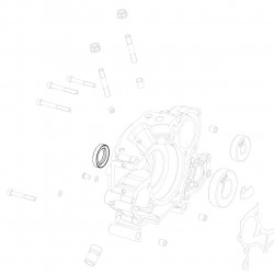 Oil seal FPJ 25x38x7
