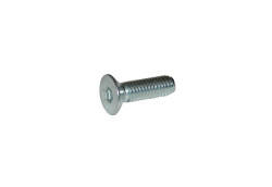 Vite TPSCEI 6x20 mm